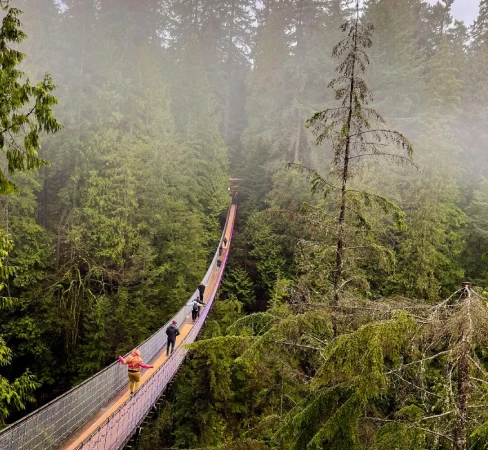 A bridge through the Vancouver forest in British Columbia.