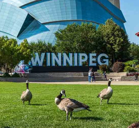 A handmade sign saying Winnipeg in a local park.